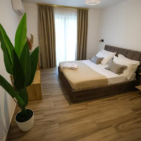 Select 6 * Тирана