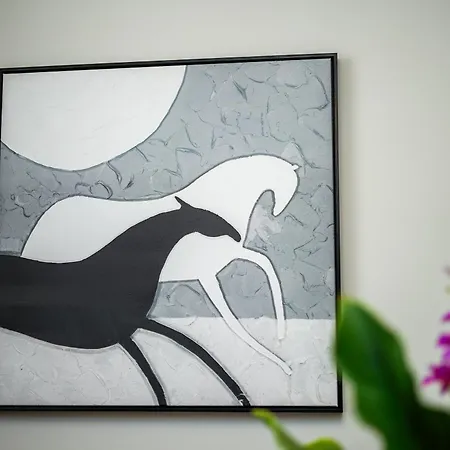 Appartamento Select 6